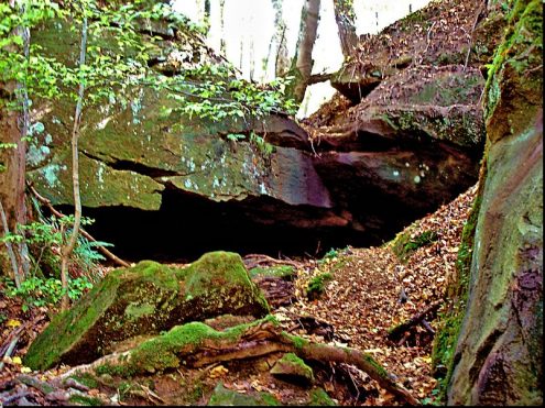 Bodenbachschlucht